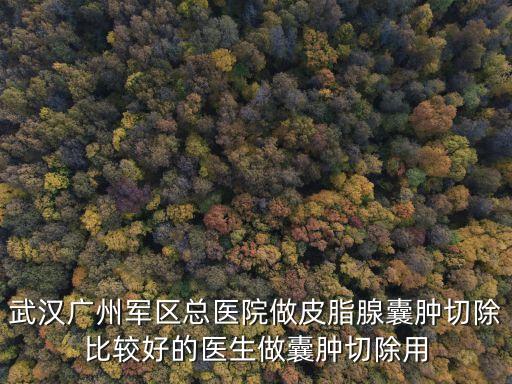 武漢廣州軍區總醫院做皮脂腺囊腫切除比較好的醫生做囊腫切除用