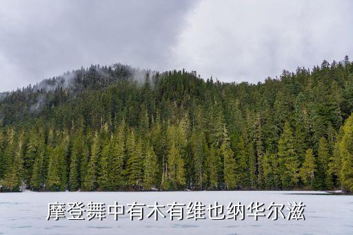 深圳摩登舞決賽華爾茲，摩登舞中有木有維也納華爾滋