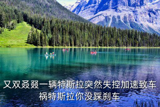 又雙叒叕一輛特斯拉突然失控加速致車禍特斯拉你沒踩剎車
