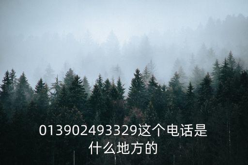 013902493329這個電話是什么地方的
