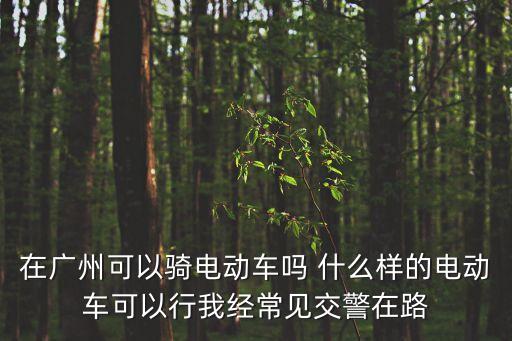 在廣州可以騎電動車嗎 什么樣的電動車可以行我經常見交警在路