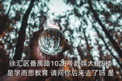 廣州八號線學而思，徐匯區番禺路1028號數娛大廈8樓是學而思教育 請問你后來去了嗎 是
