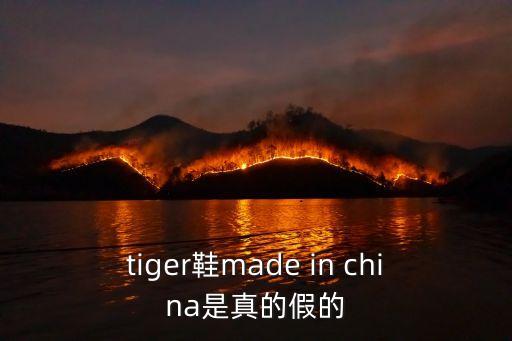 老虎鞋tiger深圳，深圳哪里有賣大眾tiger