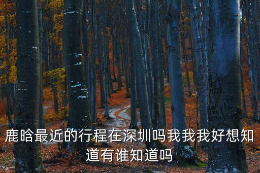 鹿晗最近的行程在深圳嗎我我我好想知道有誰知道嗎