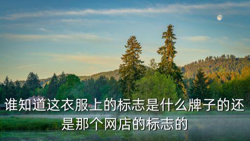 誰知道這衣服上的標志是什么牌子的還是那個網店的標志的