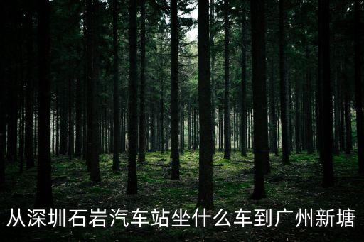 從深圳石巖汽車站坐什么車到廣州新塘