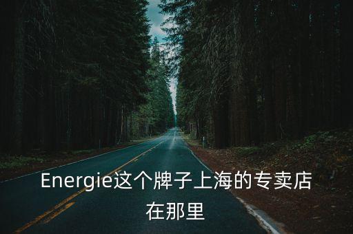 Energie這個牌子上海的專賣店在那里