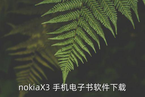 nokiaX3 手機電子書軟件下載