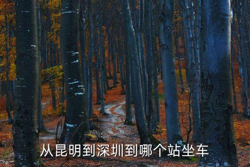 從昆明到深圳到哪個站坐車