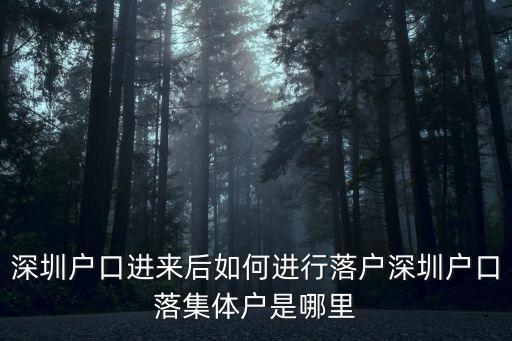 深圳戶口進(jìn)來后如何進(jìn)行落戶深圳戶口落集體戶是哪里