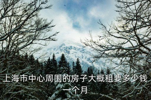 上海市中心周圍的房子大概租要多少錢一個月
