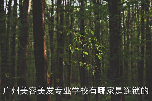 廣州美容美發專業學校有哪家是連鎖的