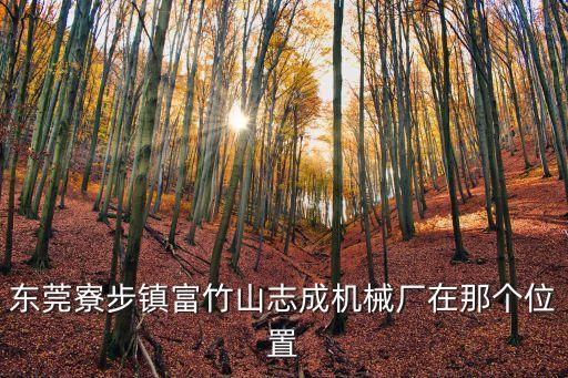 東莞寮步鎮富竹山志成機械廠在那個位置