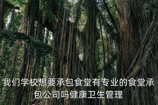 我們學校想要承包食堂有專業的食堂承包公司嗎健康衛生管理