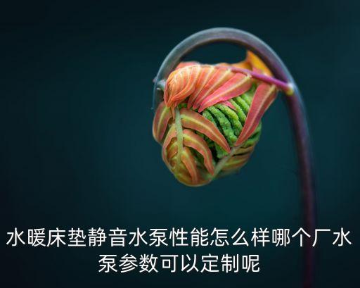水暖床墊靜音水泵性能怎么樣哪個廠水泵參數(shù)可以定制呢