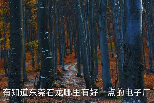 有知道東莞石龍哪里有好一點的電子廠