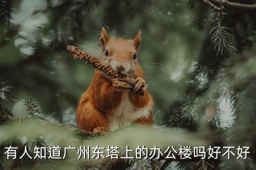 有人知道廣州東塔上的辦公樓嗎好不好