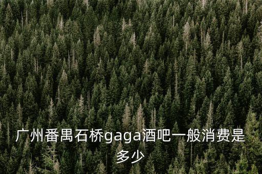 廣州番禺石橋gaga酒吧一般消費是多少