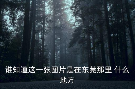 東莞謝崗粵海大道圖片，誰知道這一張圖片是在東莞那里 什么地方