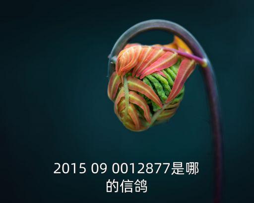 2015 09 0012877是哪的信鴿