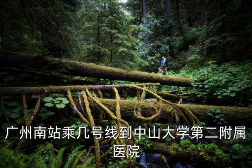 廣州南到中山二院，從廣州南站 到中山醫科大學附屬二院怎么坐車