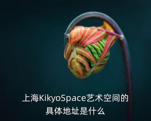上海KikyoSpace藝術空間的具體地址是什么