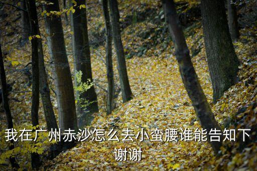 我在廣州赤沙怎么去小蠻腰誰能告知下謝謝