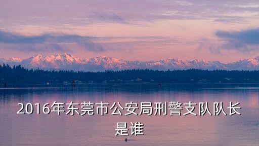 2016年東莞市公安局刑警支隊隊長是誰