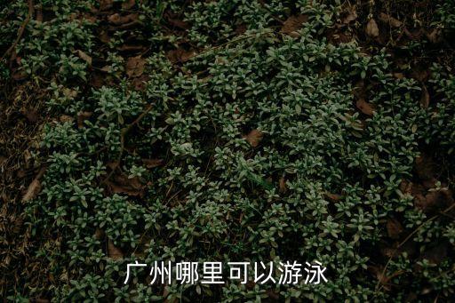 廣州哪里可以游泳