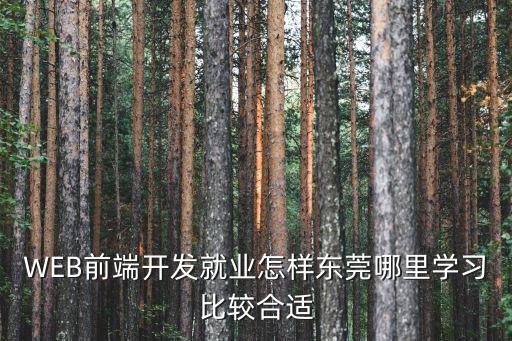 東莞哪里有前端培訓效果好，東莞哪里能學WEB前端開發
