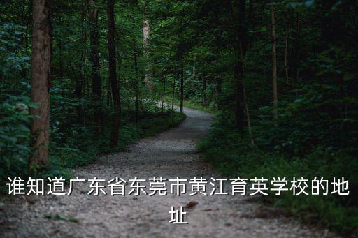 誰知道廣東省東莞市黃江育英學校的地址