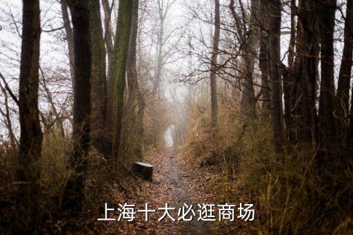 上海市的商場里有哪些好玩的，上海有哪些超級商場值得一逛的