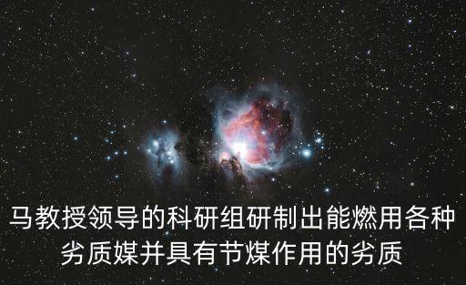 廣州諾雅集團馬教授，A馬教授在好幾個領域里取得了國內領先的成果 B這些領域包括