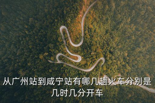 從廣州站到咸寧站有哪幾趟火車分別是幾時幾分開車
