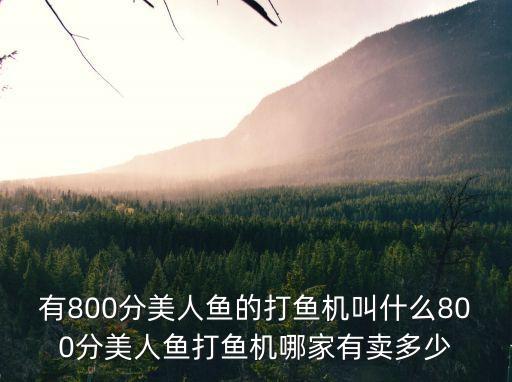 有800分美人魚的打魚機(jī)叫什么800分美人魚打魚機(jī)哪家有賣多少