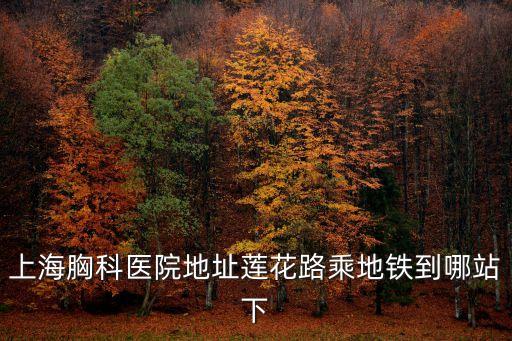 上海胸科醫(yī)院地址蓮花路乘地鐵到哪站下