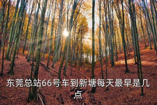 東莞總站66號車到新塘每天最早是幾點