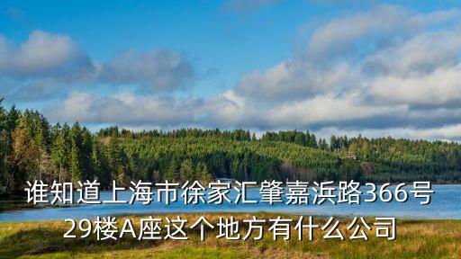 誰知道上海市徐家匯肇嘉浜路366號29樓A座這個地方有什么公司