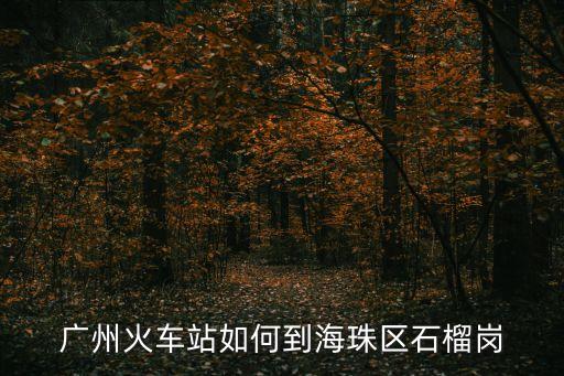 廣州火車站到蟲雷崗，廣州火車站到佛山雷崗公園有什么車坐