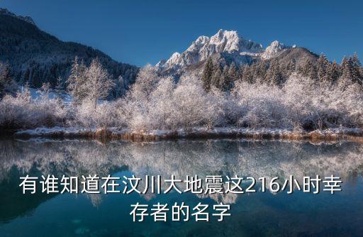 有誰知道在汶川大地震這216小時幸存者的名字
