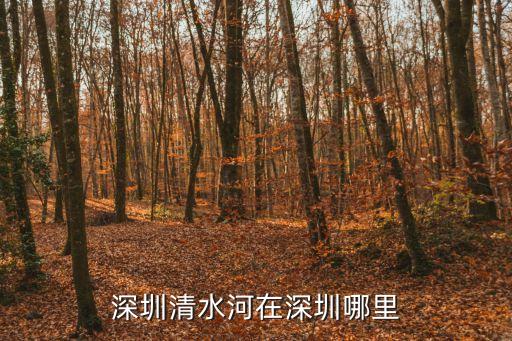 深圳清水河大，深圳清水河大爆炸的介紹