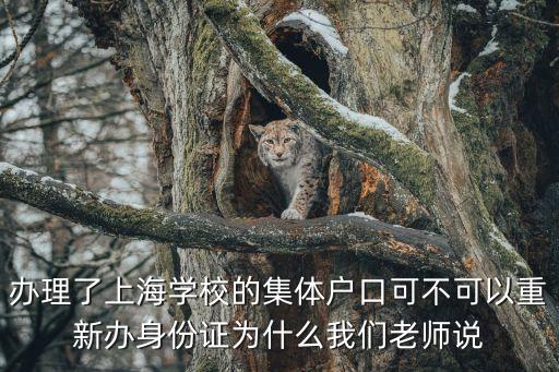 辦理了上海學校的集體戶口可不可以重新辦身份證為什么我們老師說