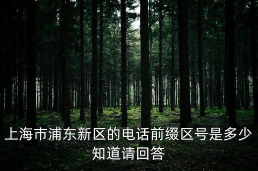 上海市浦東新區的電話前綴區號是多少知道請回答