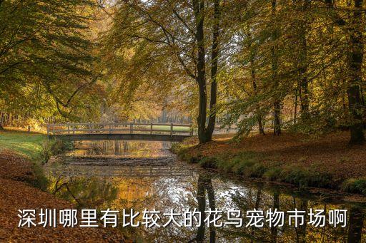 深圳哪里有比較大的花鳥寵物市場啊