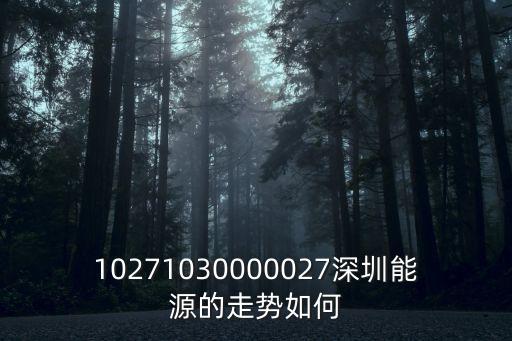 10271030000027深圳能源的走勢如何