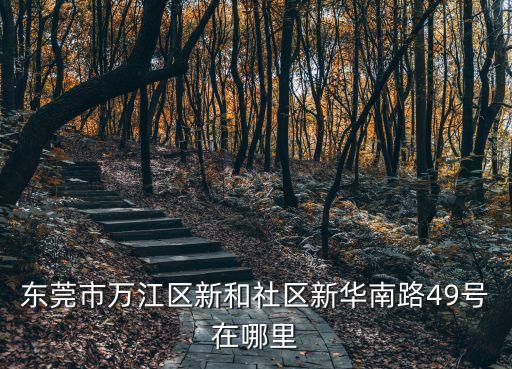 東莞市萬江區蓓蕾舞蹈，蘿卜牛雜哪學好東莞東城有專業培訓蘿卜牛雜嗎