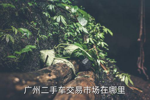 廣州二手車交易市場在哪里