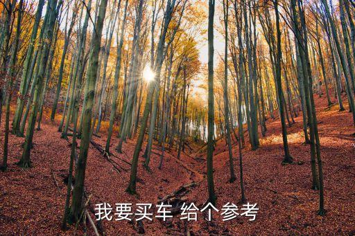 廣州駕考 用車，工作需要用車還沒有駕照廣州這邊哪家學(xué)車比較快和好啊