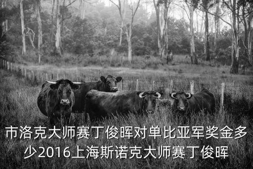 市洛克大師賽丁俊暉對單比亞軍獎金多少2016上海斯諾克大師賽丁俊暉
