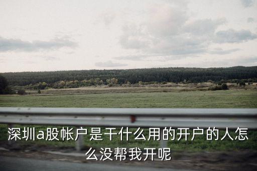 深圳a股帳戶是干什么用的開戶的人怎么沒幫我開呢